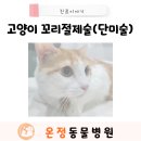 온정동물병원 이미지