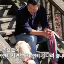 개스트하우스 이미지