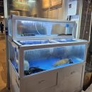 안다찌 | [부산/남포동맛집] 남포동 고등어회 맛집 고등어다찌 주말 내돈내산 후기