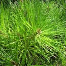 마을 민박 이미지