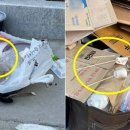 달콤왕가탕후루강남 이미지