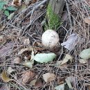 제이&씨 모터스 이미지