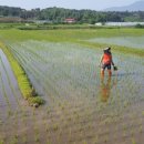 푸른솔농장5 이미지