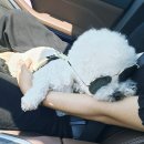 구방리518 이미지