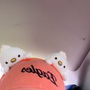 내도운동장 | [26년 4월, 보름 일기] 그깟 공놀이보다 벚꽃놀이.