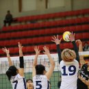 상아배이길 이미지