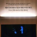 예술기획담담 | 가려고 연차 썼잖아..." 대기표 오픈런 난리 난 ‘키크니 특별전’ 숨겨진 포토존과 솔직 후기 대방출!