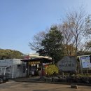 돌미로 | 제주도 가볼만한곳 추천 ! 미로찾기 메이즈랜드 #솔직후기 #내돈내산