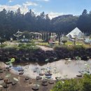 서부차유리 이미지