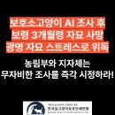 보호소 고양이 조류독감 조사를 무리하게 한 후 죽은 고양이.. 이미지