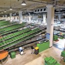 안성시 농산물산지유통센터 이미지