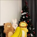 대조-008 이미지