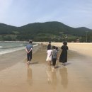 상주초교병설유치원 이미지