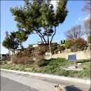 단비 랑