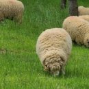 농업테마공원 세미나실 이미지