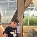시즌아이 용현동점 | 의정부 데이캠파크 캠핑 감성에 아이들 놀거리까지 가득했던 야외 공간 후기