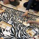 비발디 스케치북 이미지