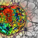 나팔꽃한의원 이미지