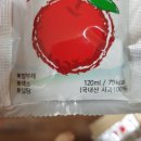 우리몸애 이미지