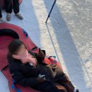 대지파크 | 강원 홍천 비발디파크 평일 스노위랜드, 주말 야간 보드 후기 내돈내산