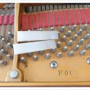 이바하음악학원 이미지