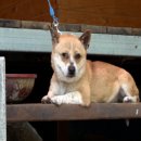 모녀식당 이미지