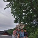 금강산공인중개사사무소 이미지