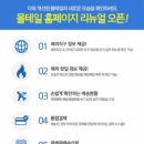 편한직구