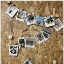 합기도 을지관 이미지