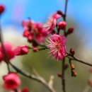 경상감영공원 이미지