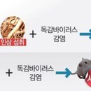 고려홍삼 - 북구 군왕로 133 | 고려홍삼