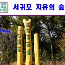 서귀포 치유의 숲 노고록 숲길 네이버블로그