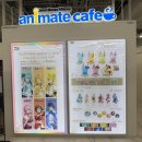 대망체육관 | 미쿠 엑스포 서울 일요일 후기 HATSUNE MIKU EXPO 2025 in Seoul@고려대 화정체육관