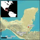 대중 | 후기 마야, 대중과의 소통 확대로 새로운 정치 시도