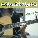 Cotton Fields - C.C.R. 이미지