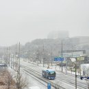 대지 - 동구 대전로785번길 16 | 대지