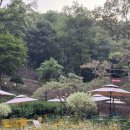 백운호수카페 디마인커피로스터즈 포레스트점 카푸치노 이천라이스쉐이크 파네토네 의왕데이트 후기☕