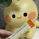 성장기맞춤 유산균 추천, 77억유산균 키움정유산균