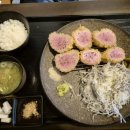 엘리카츠 이미지