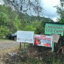 다상농장 | (코타키나발루 자유여행) 쿤다상, 사바티, 데사목장, 피쉬스파, 라플레시아플라워, 워메모리파크...