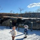 보성마트 | [보성 독채 펜션 아빠의 정원]아이와 함께 가기 좋은 펜션 추천 솔직후기