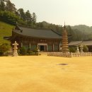 전나무목장 이미지