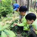 유아에 대한 생각 나눔(필독) 이미지