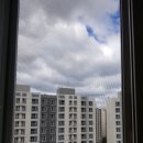 수목원풍경그린 이미지