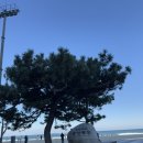 덕봉주르 이미지