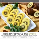 회천참다래