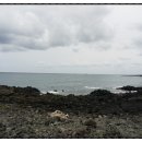 온평리-5 이미지