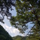 선바위민박 이미지