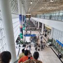 배봉사 | 아프리카 짐바브웨 해외봉사 아디스아바바 공항 하라레 공항 후기