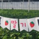 여주-1012 네이버블로그